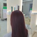 주영 | 검단신도시 미용실, 주영실장 염색후기!