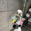 찌니 - 진주시 | [똥찌니의 육아일기] 임신 후기 및 출산