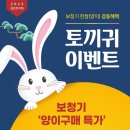 다비치히어링속초