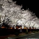 강변. 조각공원길 이미지