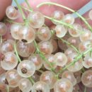 송내농장 이미지