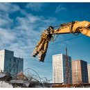 개미환경자원 이미지