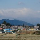 금광초등학교 정문 이미지