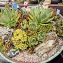 그림정원 이미지