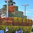 거제시농업개발원 이미지