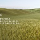 소복커피