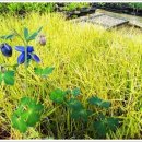 산유화농장 이미지