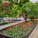 튤립공원 이미지