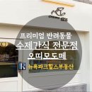 오띠모도떼 이미지