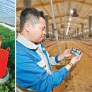 김재명농장 이미지