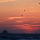 방아머리선착장 이미지