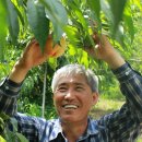 춘선농장 이미지