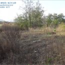 대행목장 이미지