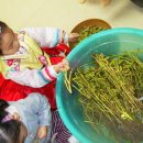 샘터어린이집 이미지