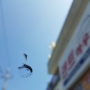 거제자동차유리 이미지