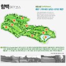 오투골프 이미지