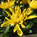 세정한의원 이미지