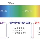 으뜸플러스안경제주아라점 이미지