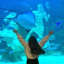빛가람기프트 | 대전 엑스포 아쿠아리움 실내데이트 신세계 놀거리