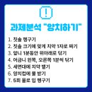 호성초등학교병설유치원 이미지