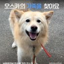 오스카/남아/4~5살추정 이미지