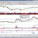 삼천당약국 이미지