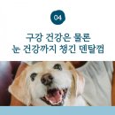 그린덴탈 이미지
