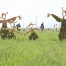 춤추는보리