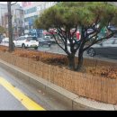 방풍벽 뉴스타운