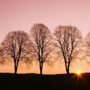 매밑농장 이미지