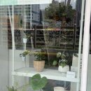 피네화