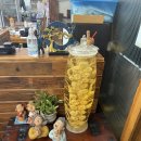 한가람금암점 이미지