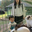 묘미호 | 공룡 덕후 아들과 미호박물관 | 재재재방문 하게된 이유