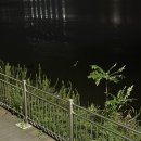 아름다워GYM | 10월의(먹방)기록