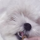 연은동물병원 이미지