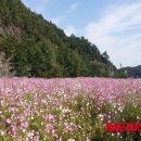 달산면사무소 이미지