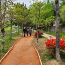 율하천공원 이미지