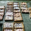 도암면사무소 | 시삼백 1230.환난이 와도_송명희