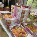 부천역곡초 이미지