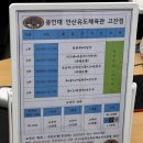 용인대엘리트태권도체육관 | 안산 고잔역유도 용인대안산유도체육관 고잔점 :: 30대 몸치 여자 유도 체험 후기