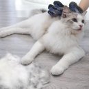 달봉이네 대연점 이미지