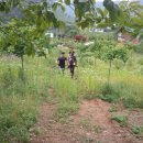 해동검도 북삼체육관 이미지