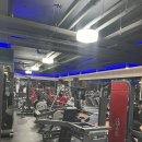 위너핏 | 위너핏휘트니스:)6개월차운동후기