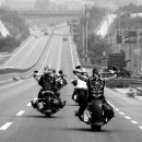 스트라다(STRADA) 이미지