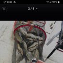 산외 강현낚시터 이미지