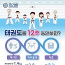 한국체대 가온 태권도 이미지