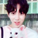 도운