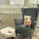 카페댕하우스 네이버블로그