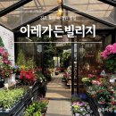 유로빌리지 1단지 | 김포꽃집 화훼단지 &#34;이레가든빌리지&#34; 어버이날 카네이션 내돈내산 후기