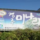 최창영농장 Daum카페